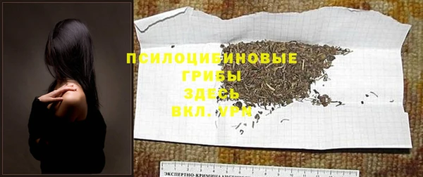 соль курить ск Горно-Алтайск