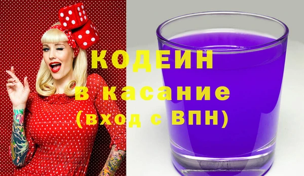 шишки Горняк