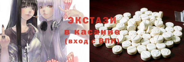 шишки Горняк