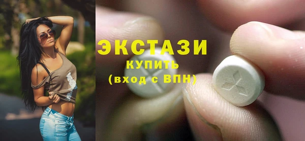 шишки Горняк