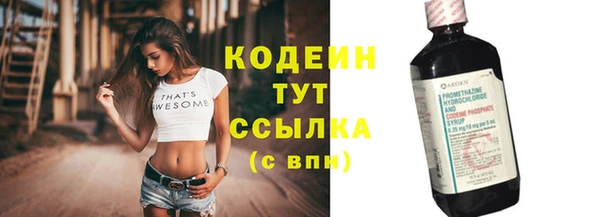 шишки Горняк