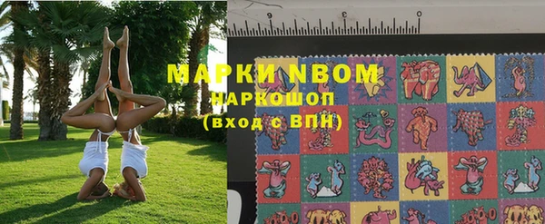 шишки Горняк