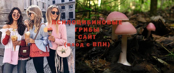 соль курить ск Горно-Алтайск