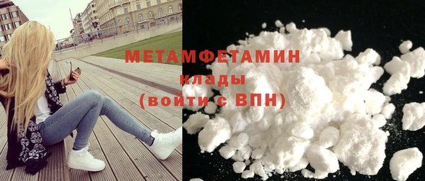 шишки Горняк