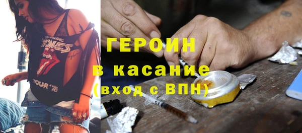 шишки Горняк