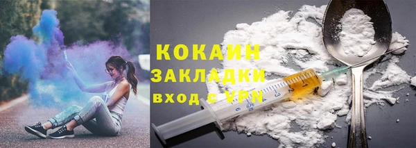 шишки Горняк