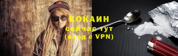 шишки Горняк