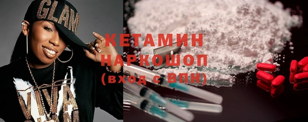 шишки Горняк