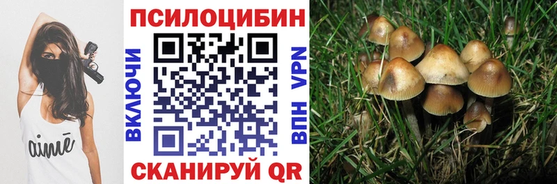 Псилоцибиновые грибы Psilocybine cubensis  Купить где  Истра 